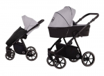 Universaalne jalutusk&auml;ru Lonex Pax Fresh 2in1 01, Silver Dust