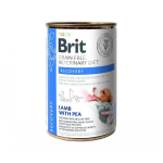Brit GF Veterinary Diets t&auml;iskasvanud koertele ja kassidele koos lambaliha ja hernestega Recovery, 0.4 kg