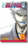 Viz Bleach Vol. 25 paberback manga