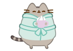 Pehme dekoratiivpadi Pusheen kass