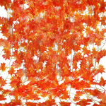 AIEX s&uuml;gislehtede vanik, 12 niiti