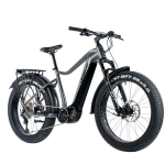 Elektriline fatbike LEADER FOX Brasa 26" (2024) Grey, 18" M