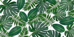 Magnetiline maskeerimismatt radiaatori radiaatorile monstera lehed 60x100cm