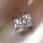 2tk Kullatud Tsirkoonist Naiste K&otilde;rvar&otilde;ngad, Moodne Kingitus variant-63143, Platinos balta