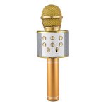 Karaoke mikrofon Royal Song WS-858