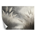 Fototaptes, Reed Grass Loodusbotaanika