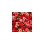 Reproduktsioon Lilled