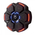 Nutikas  Muusikaline Poksitreener