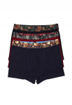 Meeste puuvillased bokserid Ntelioglou, 3 tk, XL