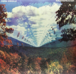 Tame Impala - Innerspeaker (vin&uuml;&uuml;lplaat, LP)