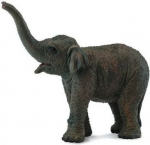 Aasia elevant - Collecta