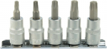 Torx T25-t50 3/8" Crv mutriv&otilde;tmete komplekt