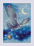 Magic Owl ristpistekomplekt