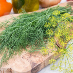 Till MAMMOTH 500g -
