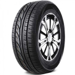 Radar RPX800 205/55R17 95 Y XL