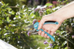 Aiak&auml;&auml;rid Gardena Classic 8854-20