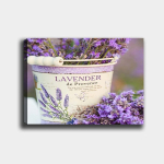Reproduktsioon Lavendel