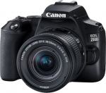 Canon EOS 250D (Black) + EF-S 18-55mm f/4-5.6 IS STM + EF 50mm f/1.8 STM