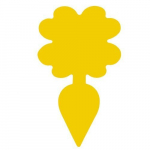 Putukate p&uuml;&uuml;nised, 12 tk