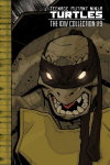 Teenage Mutant Ninja Turtles: The IDW Collection Volume 9: The IDW Collection Volume 9
