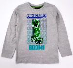 Minecraft laste pikkade varrukatega t-s&auml;rk