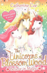 Unicorns of Blossom Wood: Believe in Magic, 1