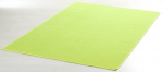 Hanse Home vaip Nasty Green, 200x300 cm