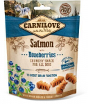 Carnilove Dog Snack Salmon & Blueberries maiused koerale 200g