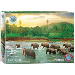 Pusle Eurographics, 6000-5540, Rainforest, 1000 tk