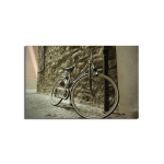 Reproduktsioon Ratas