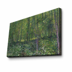 Reproduktsioon Trees and undergrowth