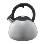 Ambition veekeetja Silvery, 3 l