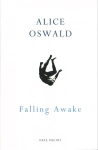 Falling Awake