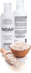 V&auml;rvi kaitse &scaron;ampoon v&auml;rvitud, triibutatud ja v&auml;rvilistele juustele Noah 250 ml