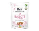 Maiused koertele Brit Care Dog Puppy Insect putukate ja probiootikumidega, 200 g