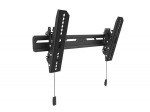 Teleri kinnitus Multibrackets MB-6560 OLED TV Wallmount up to 32-65" / 50kg