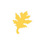 Dekoratiivne augustaja, Tammeleht, 25 mm