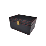 Extra Digital Faraday kast