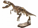 3D dinosauruse skeleti komplekt
