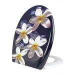 Aeglaselt sulguv prill-laud Plumeria, 453x374 mm