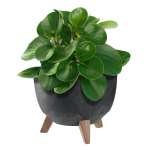 Lillepott Lillepott 24cm kate + jalad korgist lillealus must