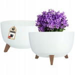 Lillepoti kaanekauss 40cm Valge 2 tk