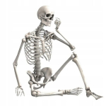 Inimese skeleti mudel, 90 cm