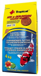 Toit tiigikaladele Tropical Koi & Goldfish Color Sticks, 4 kg