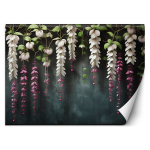 Fototapeedid, Rippuvad wisteria lilled