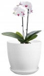Keraamiline lillepott alusega 16 cm valge