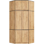 Nurgakapp Akord S100, pruun