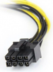 STARTECH.COM LP4 to Express PCI 8-pinnise videokaardi toiteadapter - Toiteadapter - 15 cm