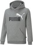 Puma poiste kampsun, hall
