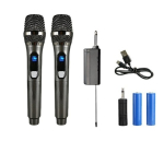 T&auml;ielik karaoke komplekt 2 juhtmevaba mikrofoni + jaam + otsikud